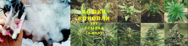 шишки Богородск