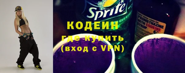 шишки Богородск