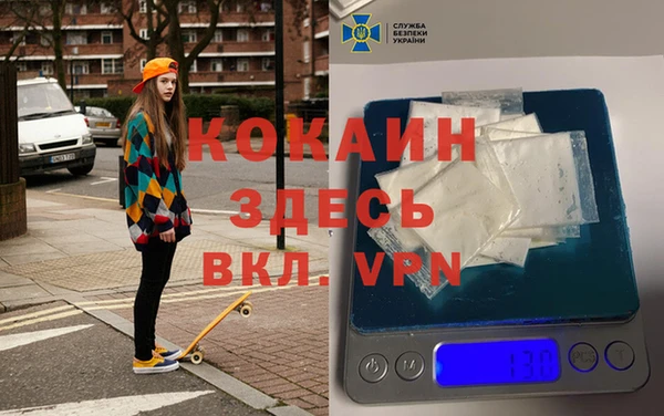 шишки Богородск