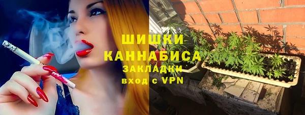 шишки Богородск