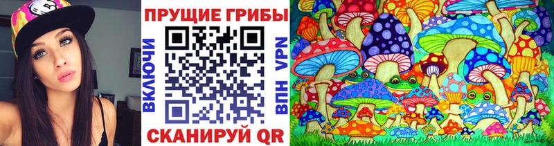 Псилоцибиновые грибы мицелий Балашиха